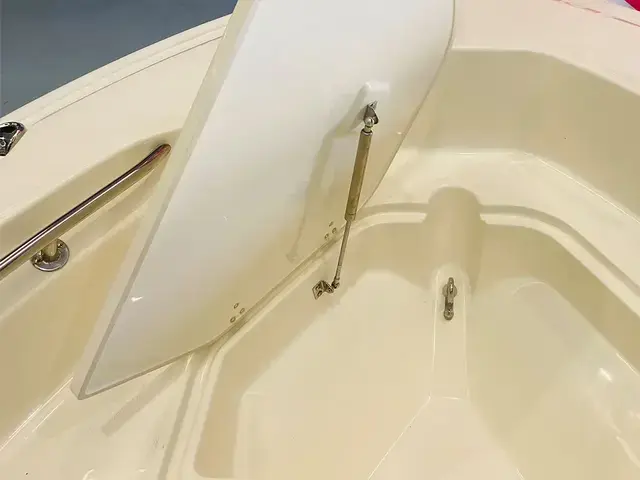 Boston Whaler 250 Dauntless