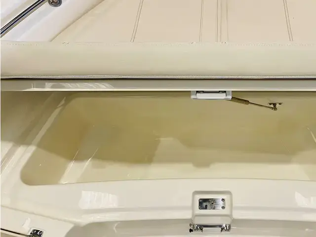 Boston Whaler 250 Dauntless