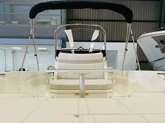 Boston Whaler 250 Dauntless