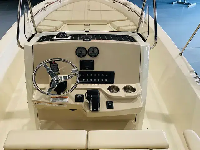 Boston Whaler 250 Dauntless