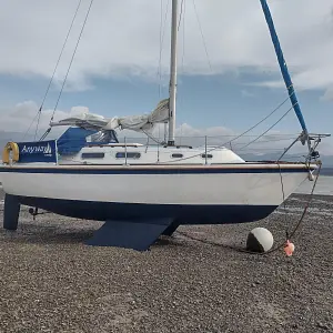 1980 Westerly Griffon