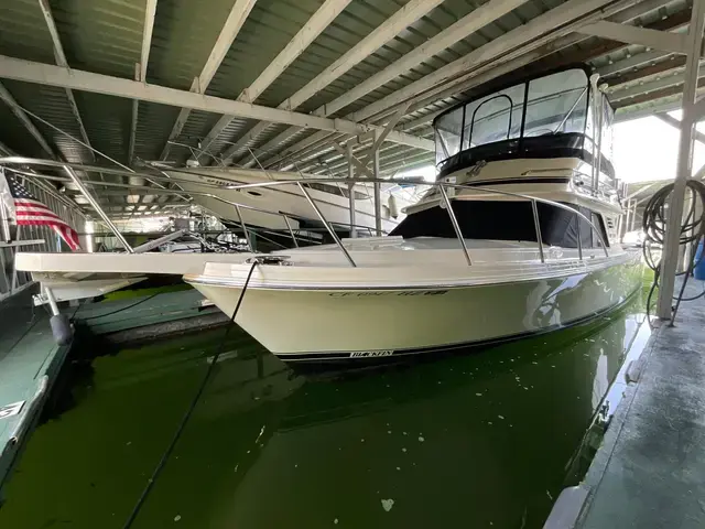 Blackfin 29 Flybridge