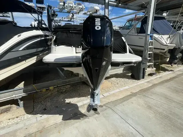 Sea Ray 250 Sdx