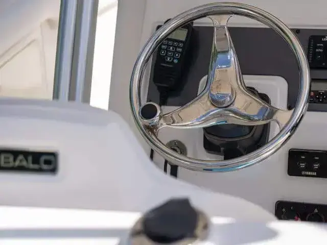 Robalo R300 Center Console