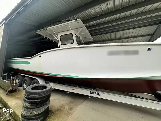 Ocean Master 31 Cc