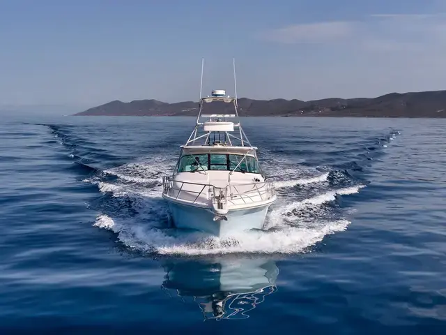 Bertram 360 Open "Sea Gadget"