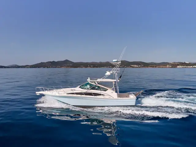 Bertram 360 Open "Sea Gadget"