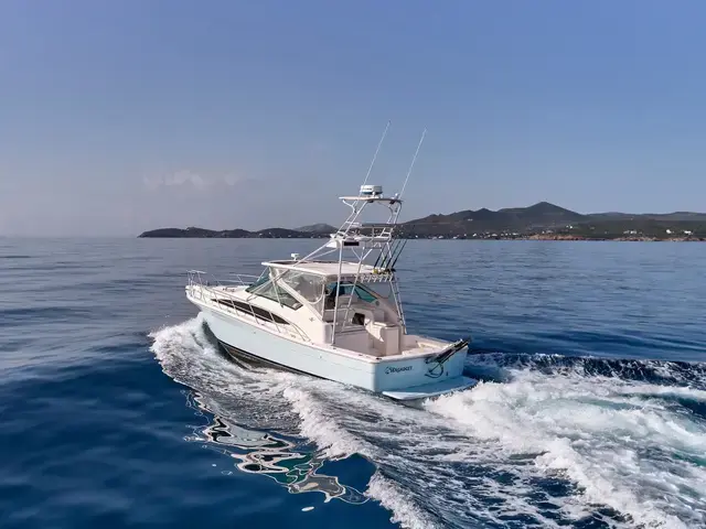 Bertram 360 Open "Sea Gadget"