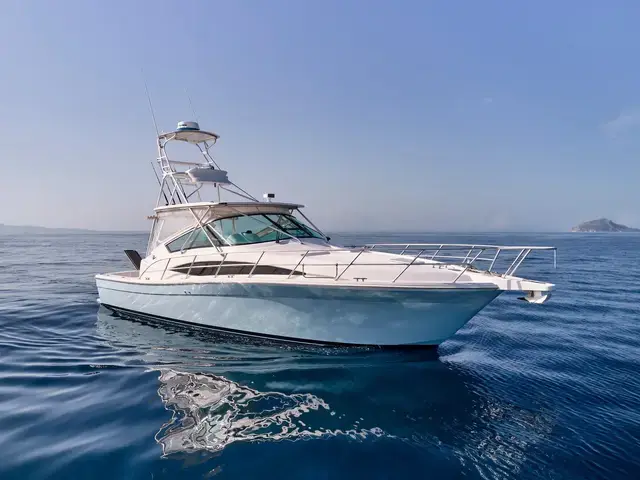 Bertram 360 Open "Sea Gadget"