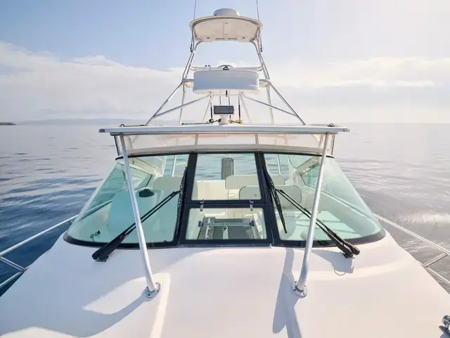 Bertram 360 Open "Sea Gadget"