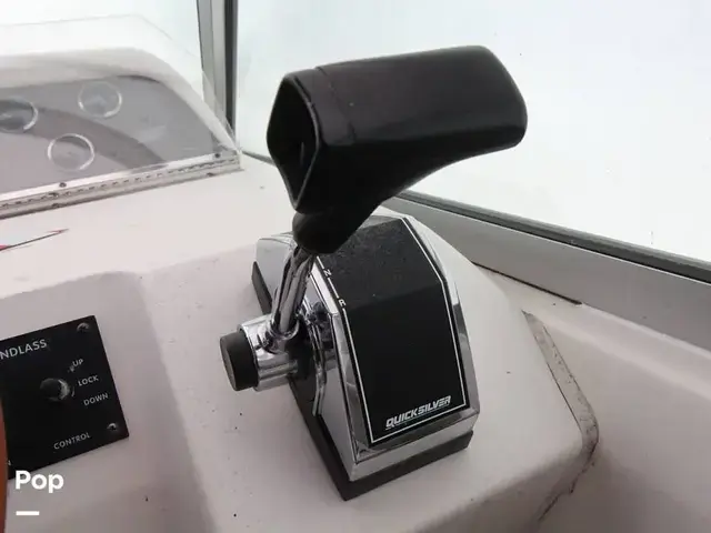 Sea Ray 290 Sundancer