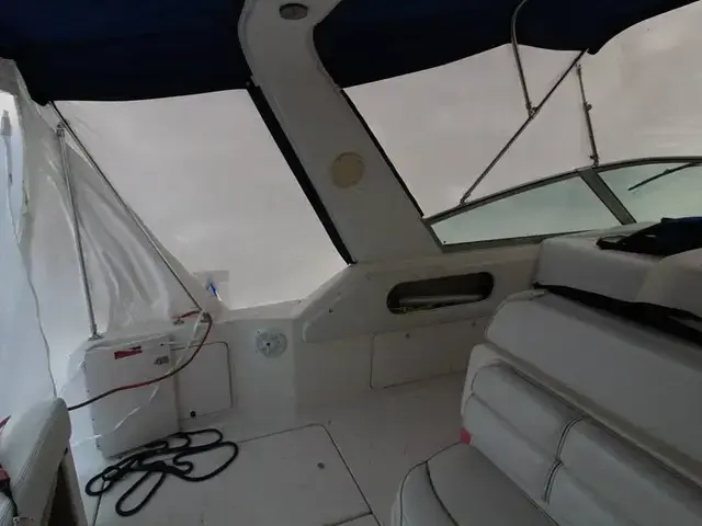 Sea Ray 290 Sundancer