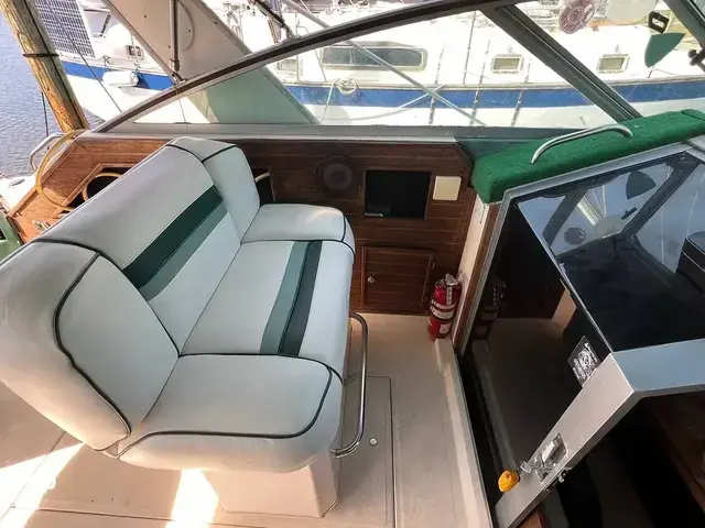 Sea Ray 300 Weekender