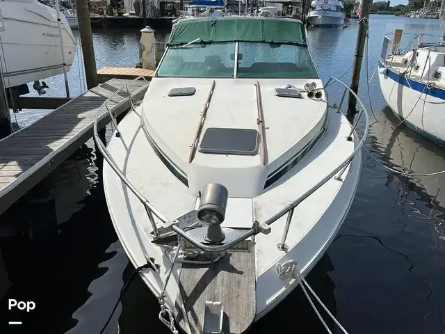 Sea Ray 300 Weekender