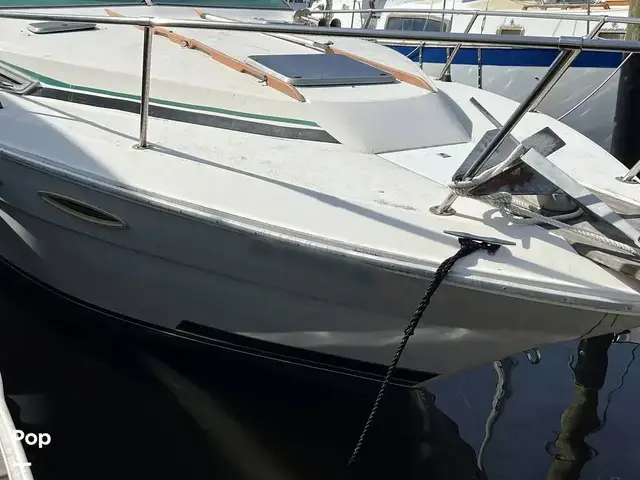 Sea Ray 300 Weekender