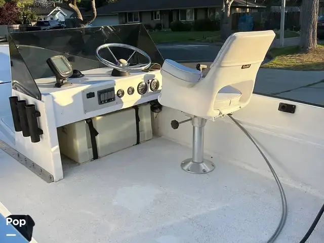 Boston Whaler 170 Montauk