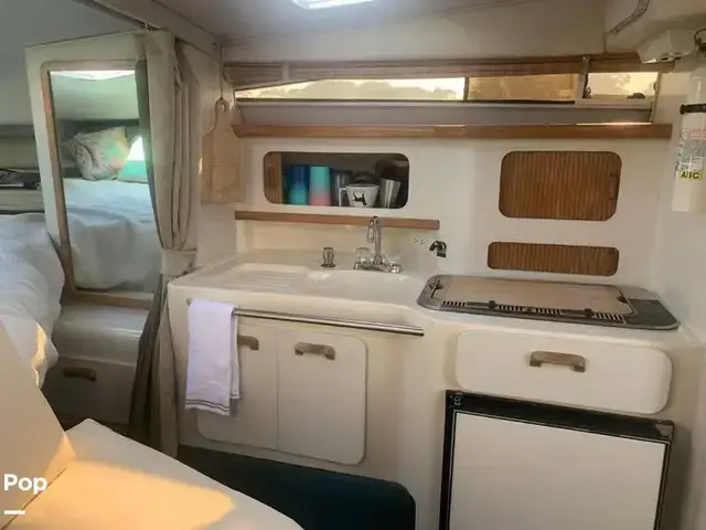 Sea Ray 300 Weekender