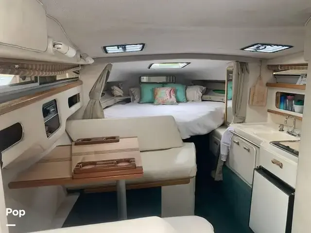 Sea Ray 300 Weekender