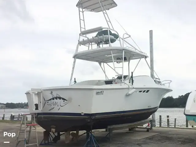 Luhrs 290 Tournament