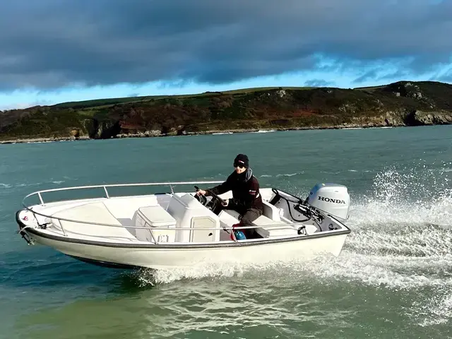 Boston Whaler 13 Dauntless