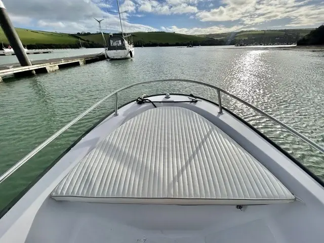 Boston Whaler 13 Dauntless