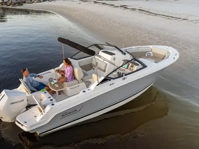 Boston Whaler 210 Vantage