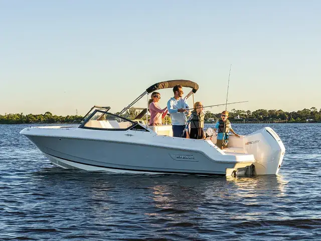 Boston Whaler 210 Vantage