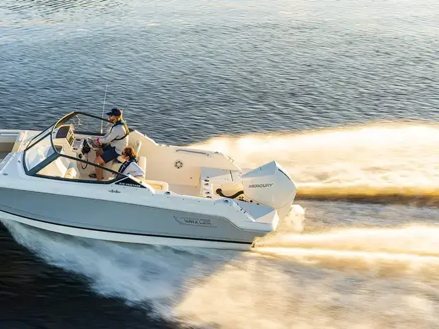 Boston Whaler 210 Vantage