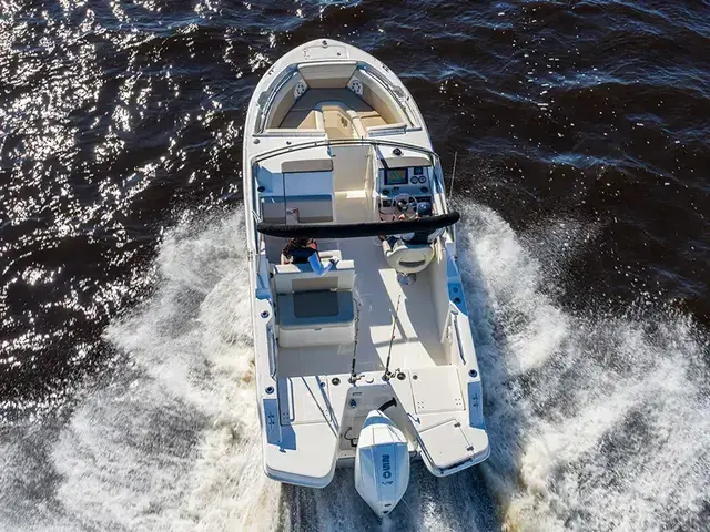 Boston Whaler 210 Vantage