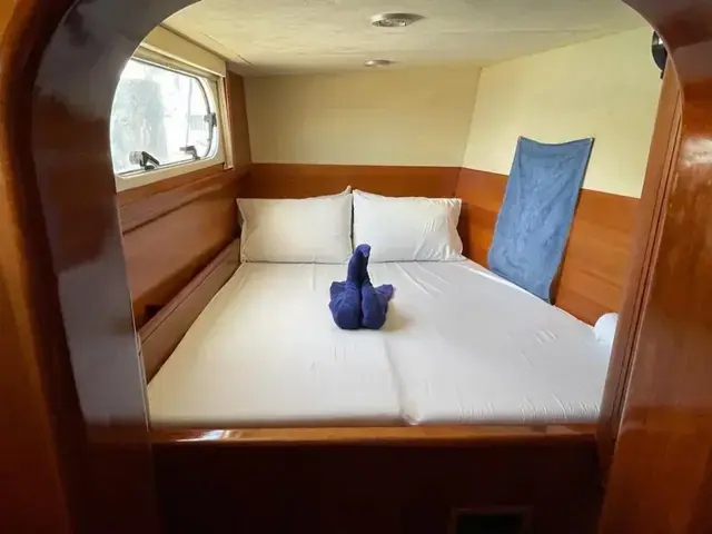 Catana 582