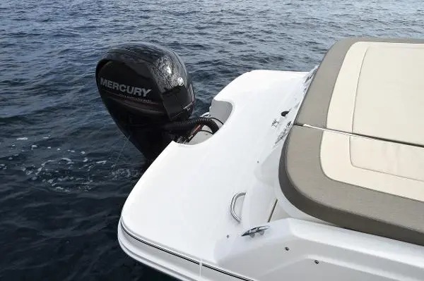 2023 Bayliner vr5 cuddy