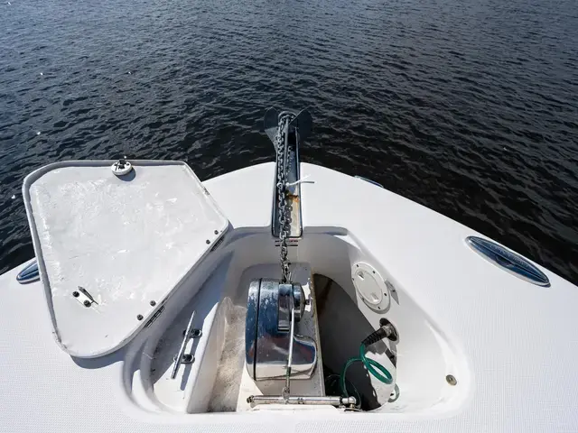 Robalo R300 Center Console