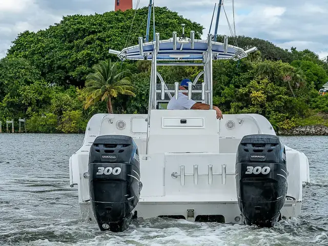 Ameracat Boats 31