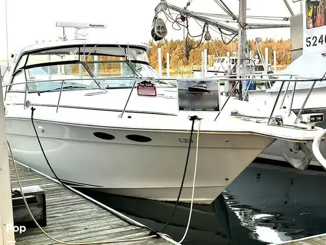 Sea Ray 370