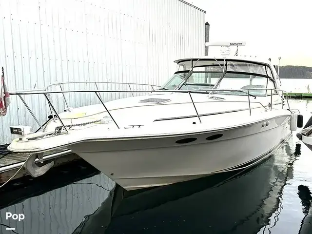 Sea Ray 370