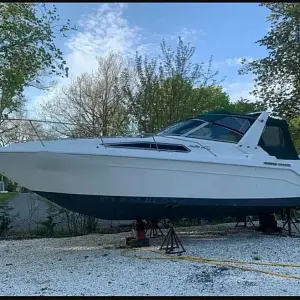 1993 Sea Ray 300 Weekender