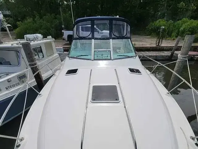 Sea Ray Sundancer 310