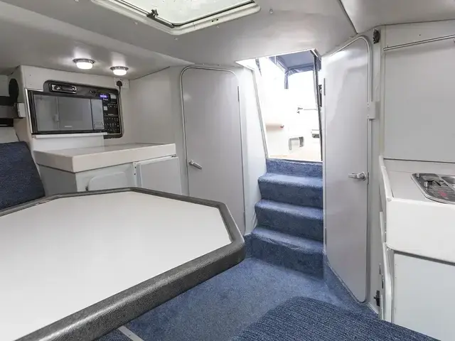 Sunseeker Portofino 31