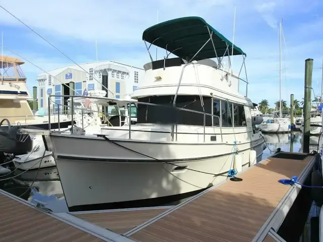 Camano Trawler