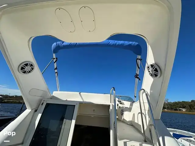 Bayliner Ciera 288 Command Bridge