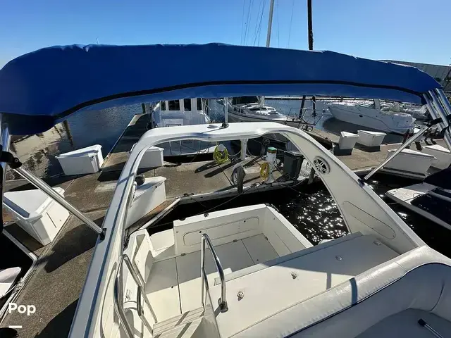 Bayliner Ciera 288 Command Bridge