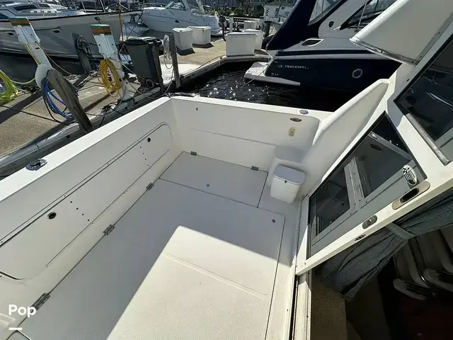 Bayliner Ciera 288 Command Bridge