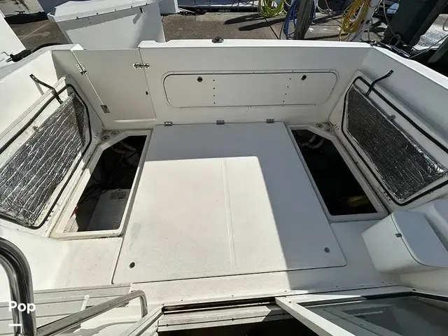 Bayliner Ciera 288 Command Bridge