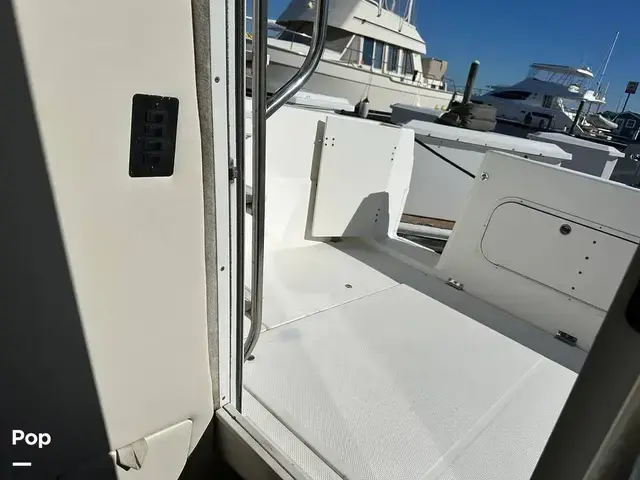 Bayliner Ciera 288 Command Bridge