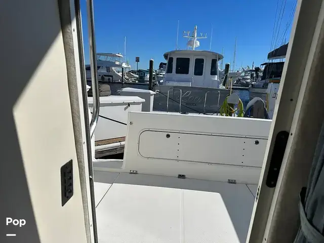 Bayliner Ciera 288 Command Bridge