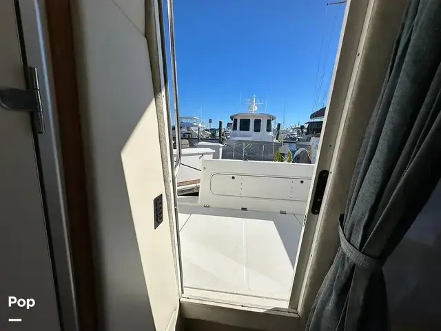 Bayliner Ciera 288 Command Bridge