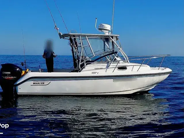 Boston Whaler 21 Conquest