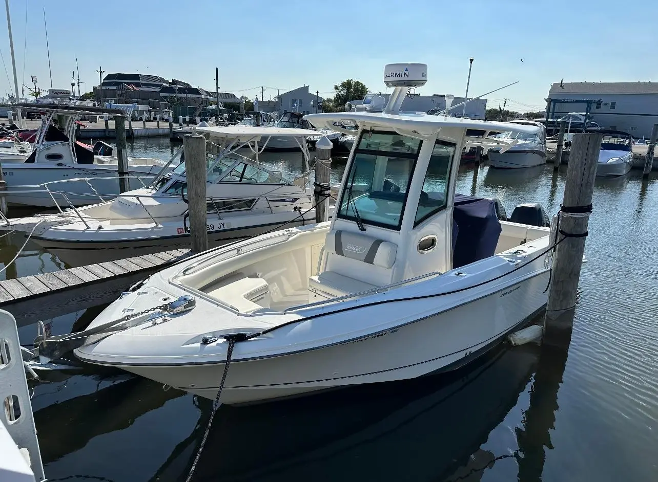 2010 Boston Whaler 250 outrage