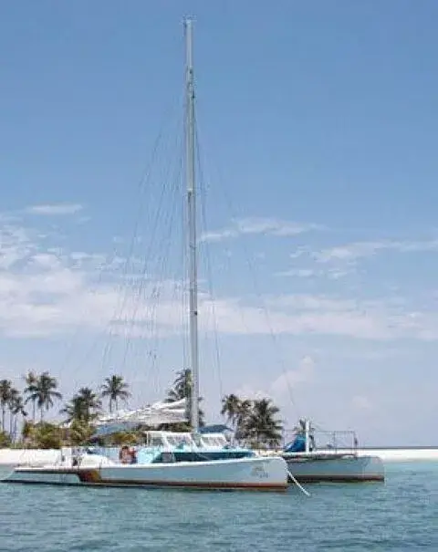 Custom Boats Day Sail Charter 50