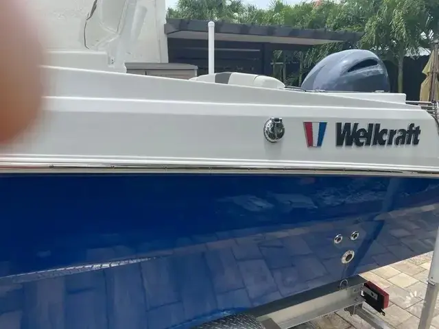 Scarab Boats Wellcraft 222